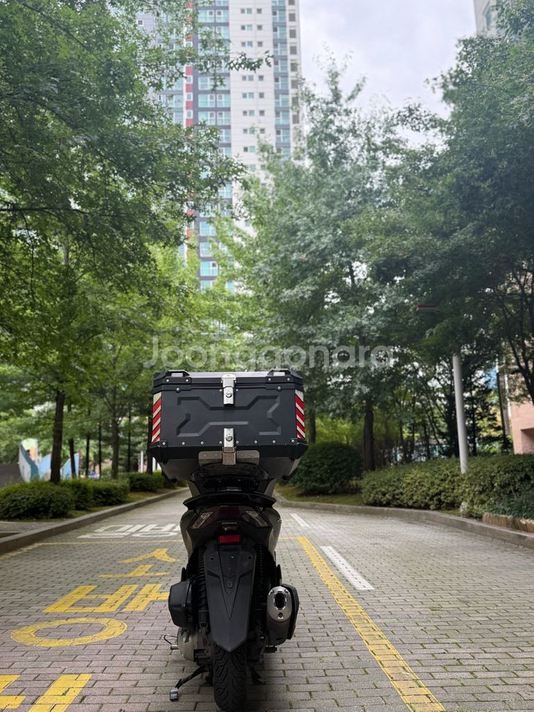 pcx125(abs) 23년형 판매합니다--7