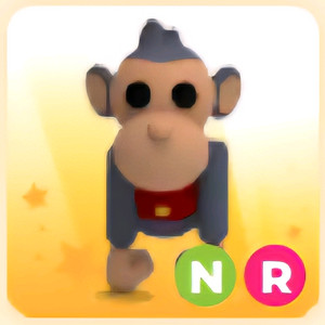 입양하세요 NR 토이 몽키