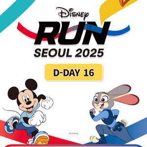 디즈니런 서울 여자XL 10km양도합니다