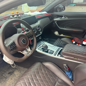 스팅어 3.3 gt 마스터즈 awd 터보 패키지 팝니다
