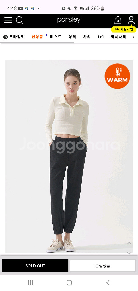 파슬리요가복 티셔츠 일괄--4