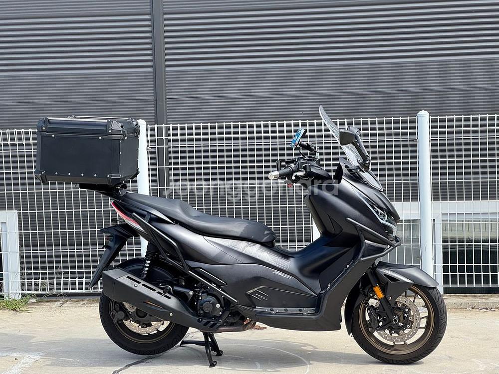 존테스350D 24년식 1.9만키로 앞뒤블박 판매중--1