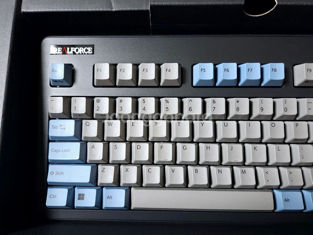 리얼포스 r3 45g 그레이 판매합니다--1