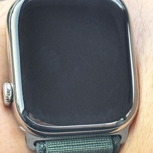 애플워치 10 네추럴 티타늄 46mm +애플케어