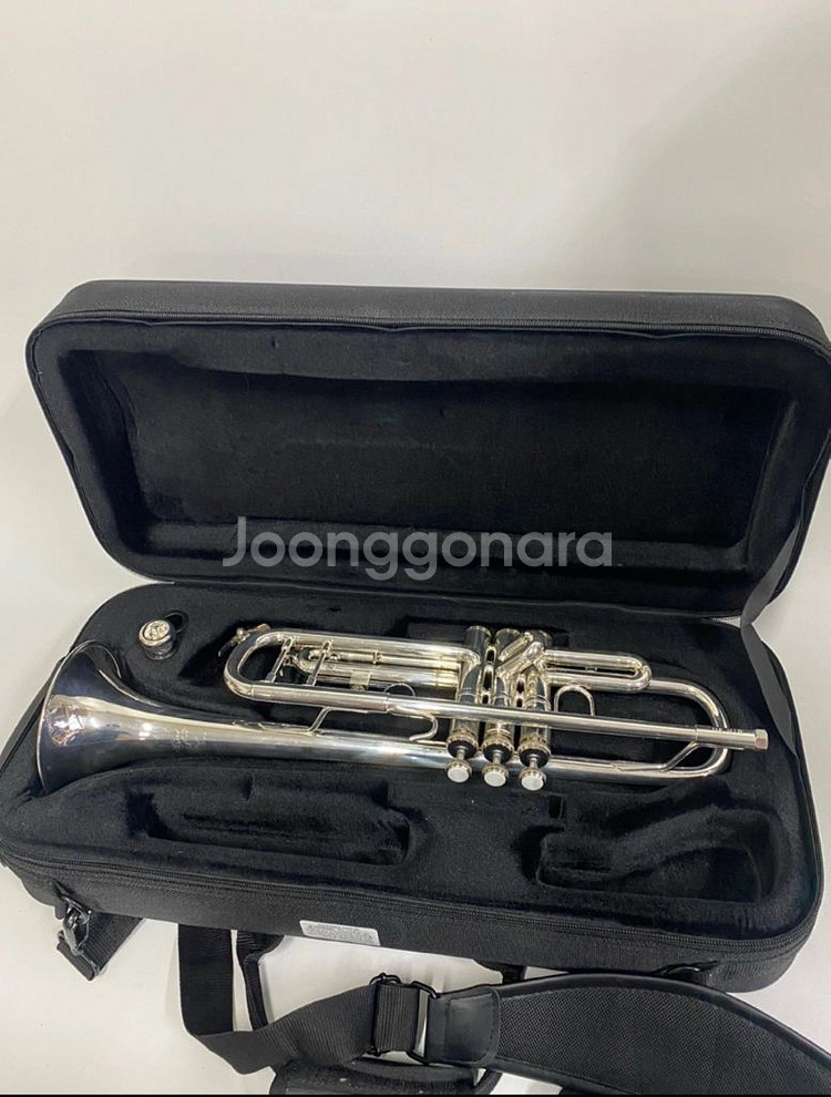 바하 BTR-311 미제 트럼펫--0