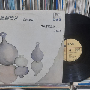 LP 사철 메뚜기 로커스트 LOCUST 1981년 초반