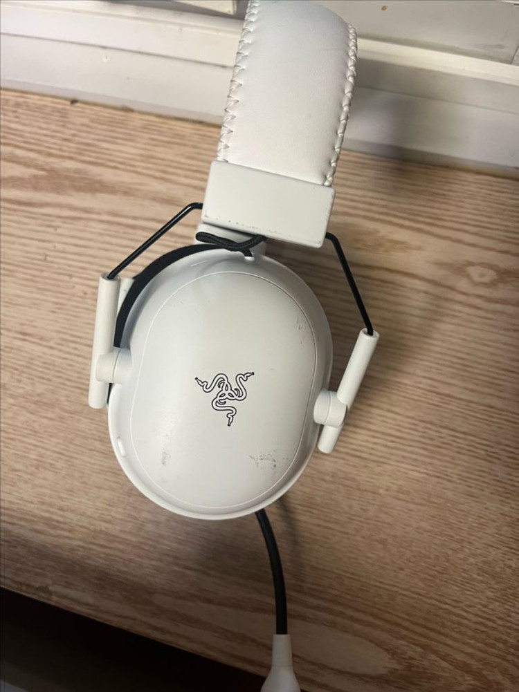 레이저 블랙샤크 v2 pro 헤드셋 이미지