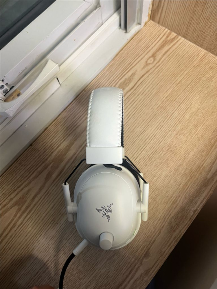 레이저 블랙샤크 v2 pro 헤드셋 이미지