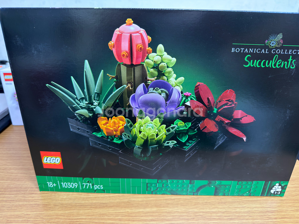 레고 10280 외 10종 총 13제품 일괄--2