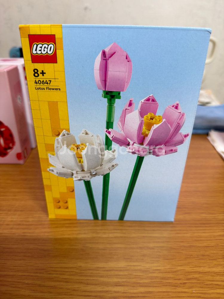 레고 10280 외 10종 총 13제품 일괄--9