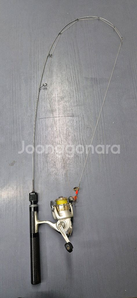 니티롤루어대--5