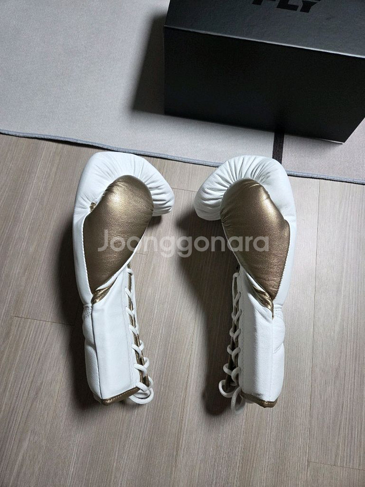 플라이 프리미엄 16온스복싱 글러브--1