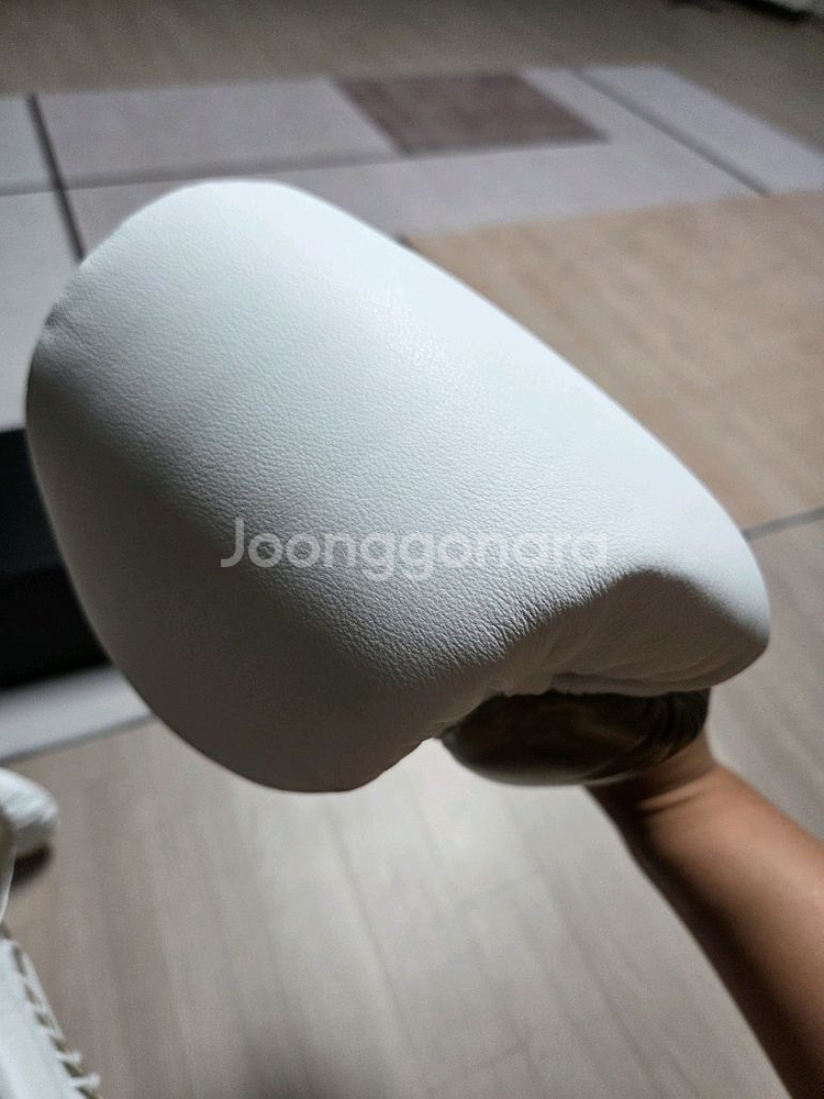 플라이 프리미엄 16온스복싱 글러브--3