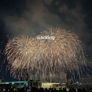 2025 여의도 불꽃축제 2~4인