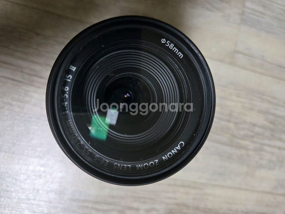 캐논 ef-s 55-250mm 헝그리망원--2