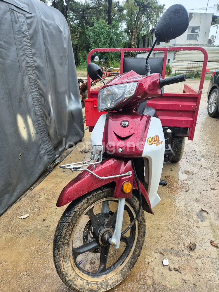 시티베스트 115--0