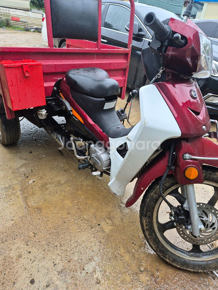 시티베스트 115--3