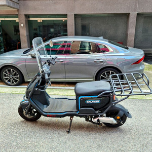 급처 타우러스ES듀얼 60V +가드프레임