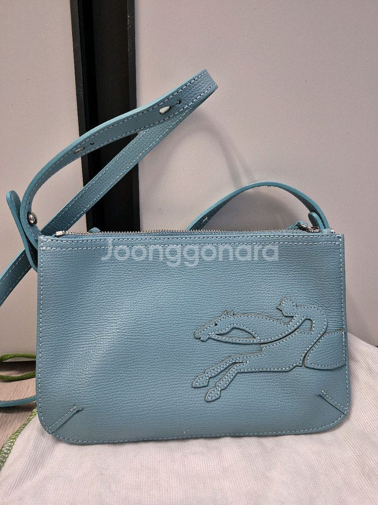 롱샴 플랫크로스백--0