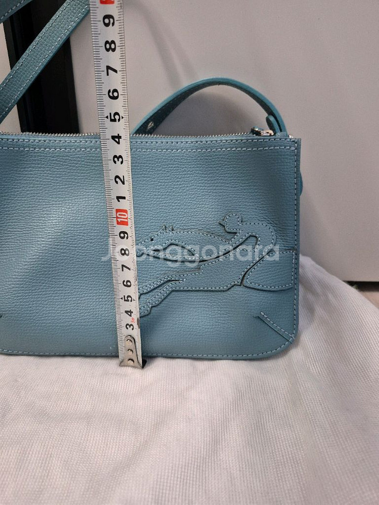 롱샴 플랫크로스백--2