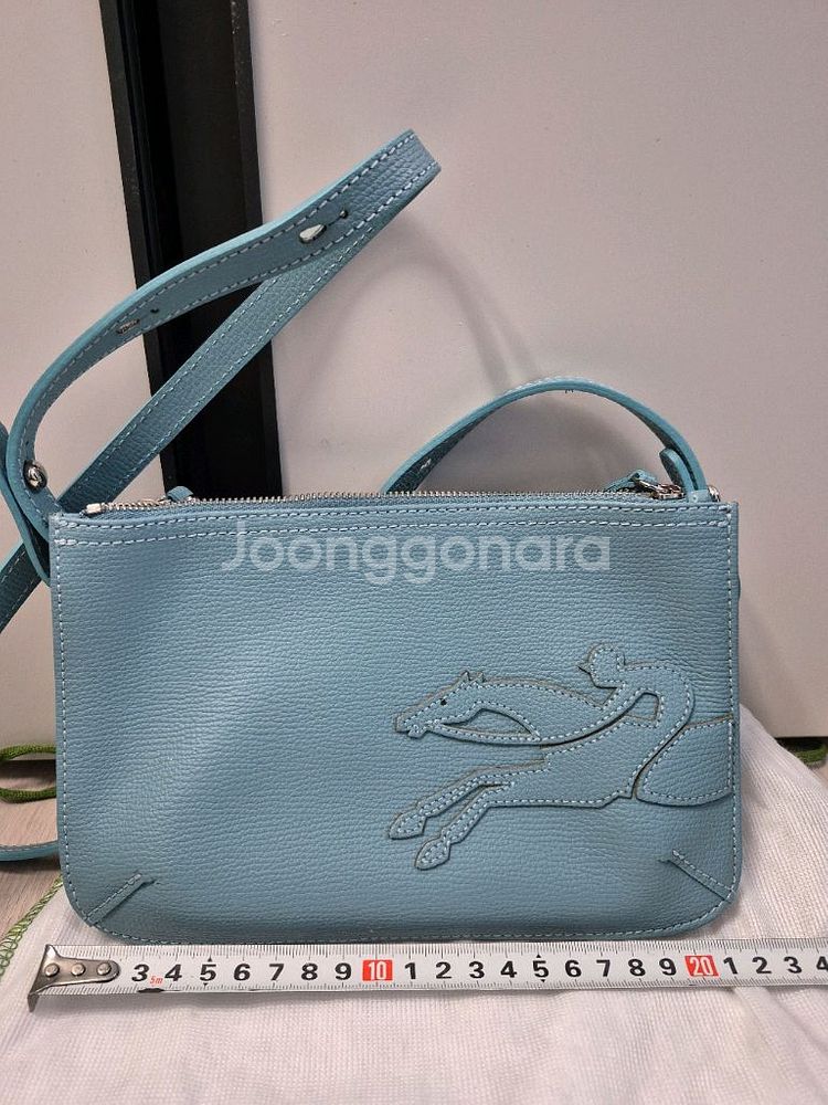 롱샴 플랫크로스백--3