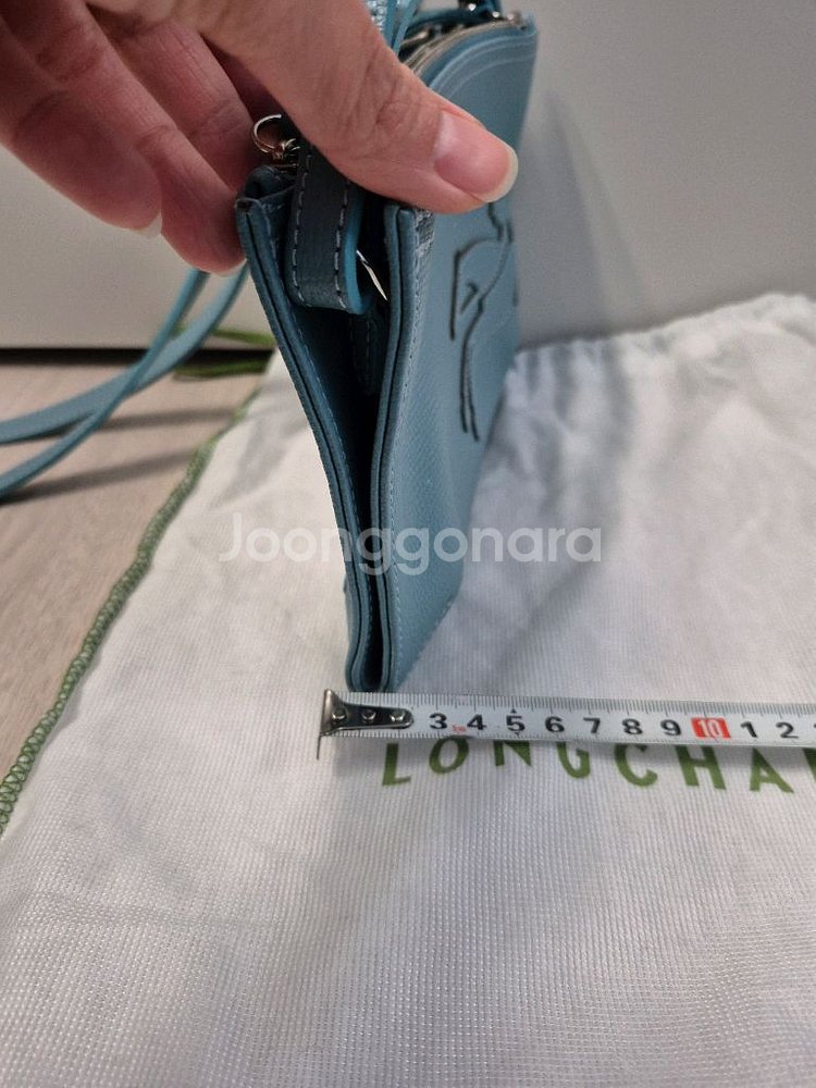 롱샴 플랫크로스백--5