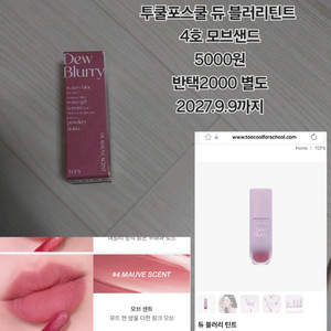 투쿨포스쿨 듀 블러리틴트 4호 모브샌드