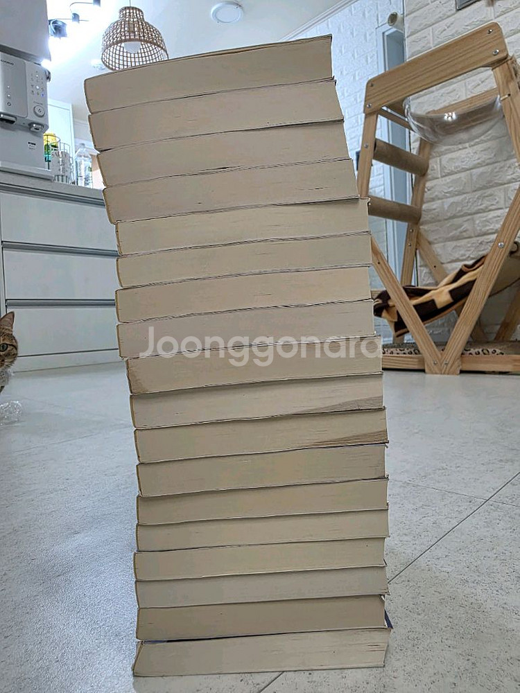 소설 영웅문 소장용 전권 페이퍼판--5