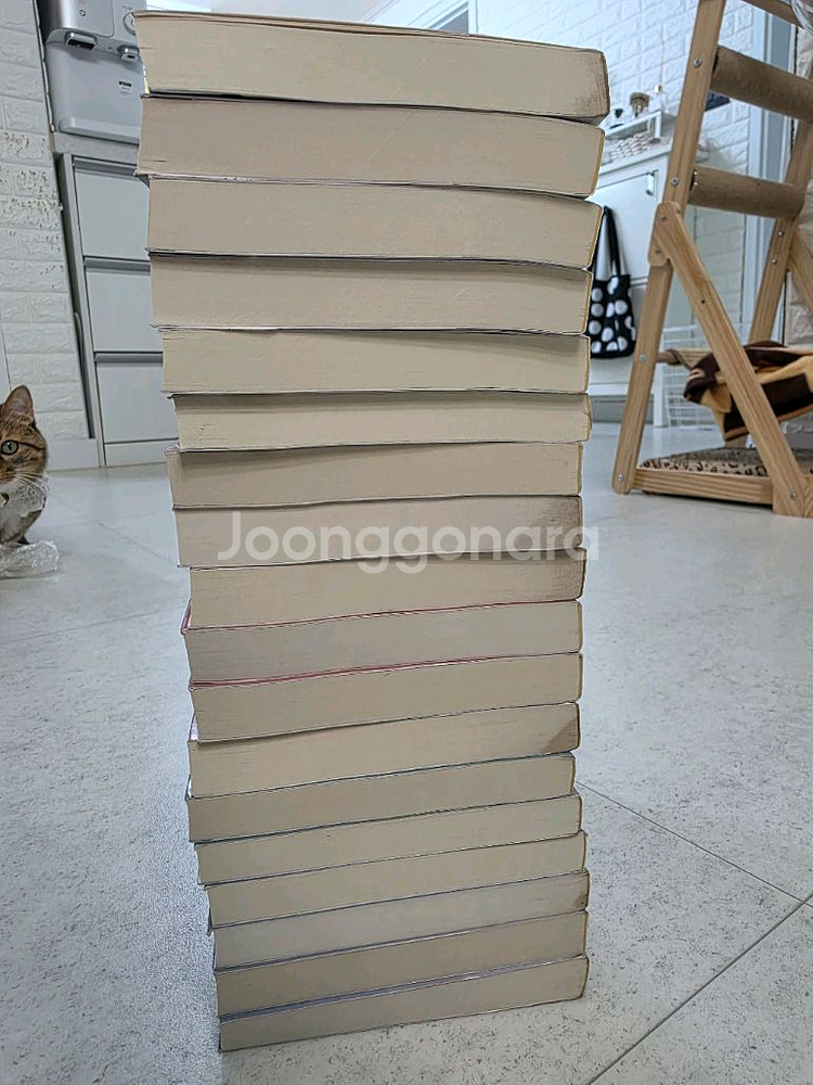소설 영웅문 소장용 전권 페이퍼판--6