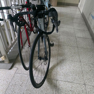 세파스 리파인드4