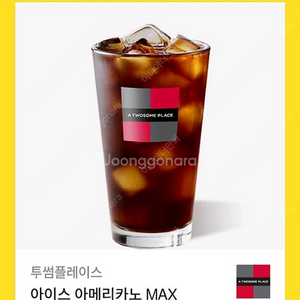 투썸플레이스 아메리카노 MAX