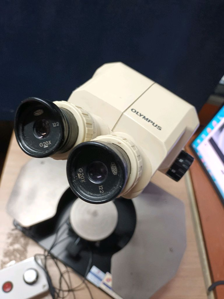 올림프스 현미경 이미지