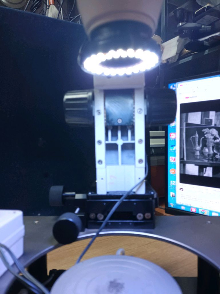 올림프스 현미경 이미지