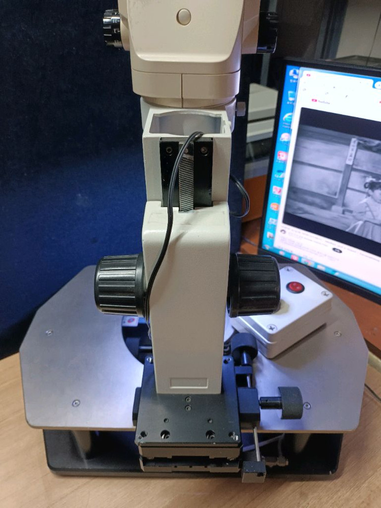 올림프스 현미경 이미지