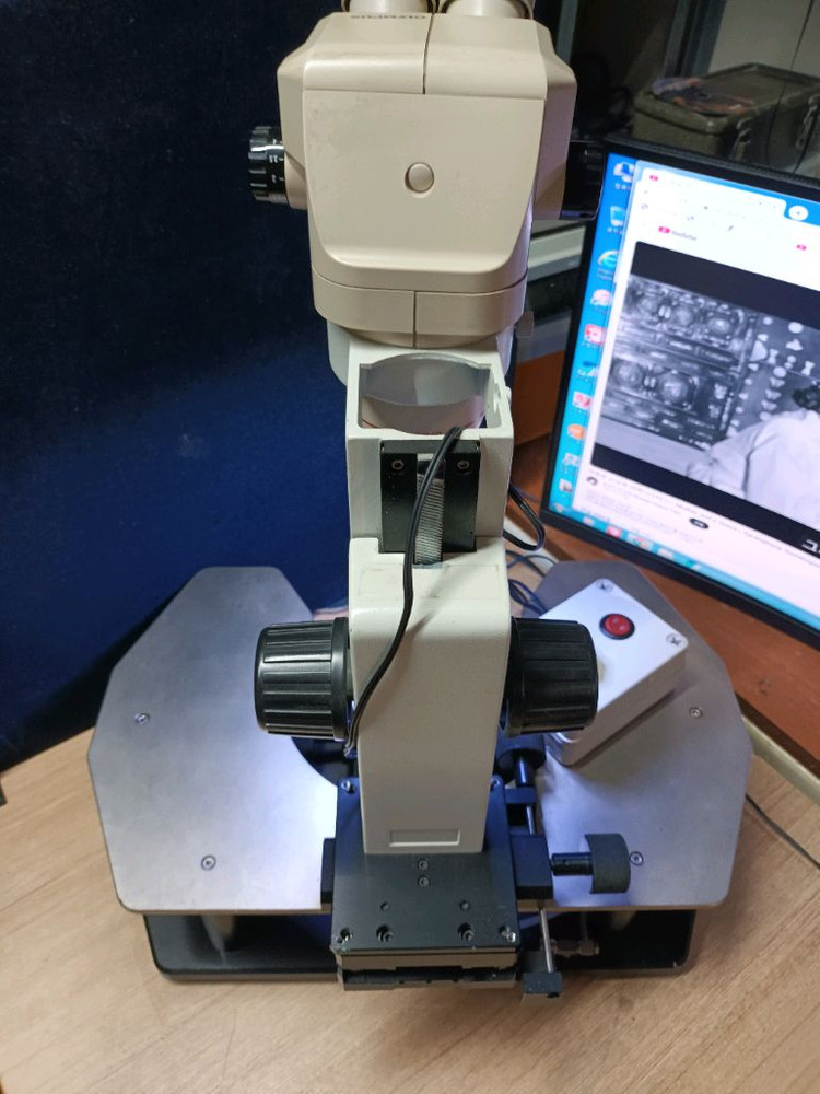 올림프스 현미경 이미지