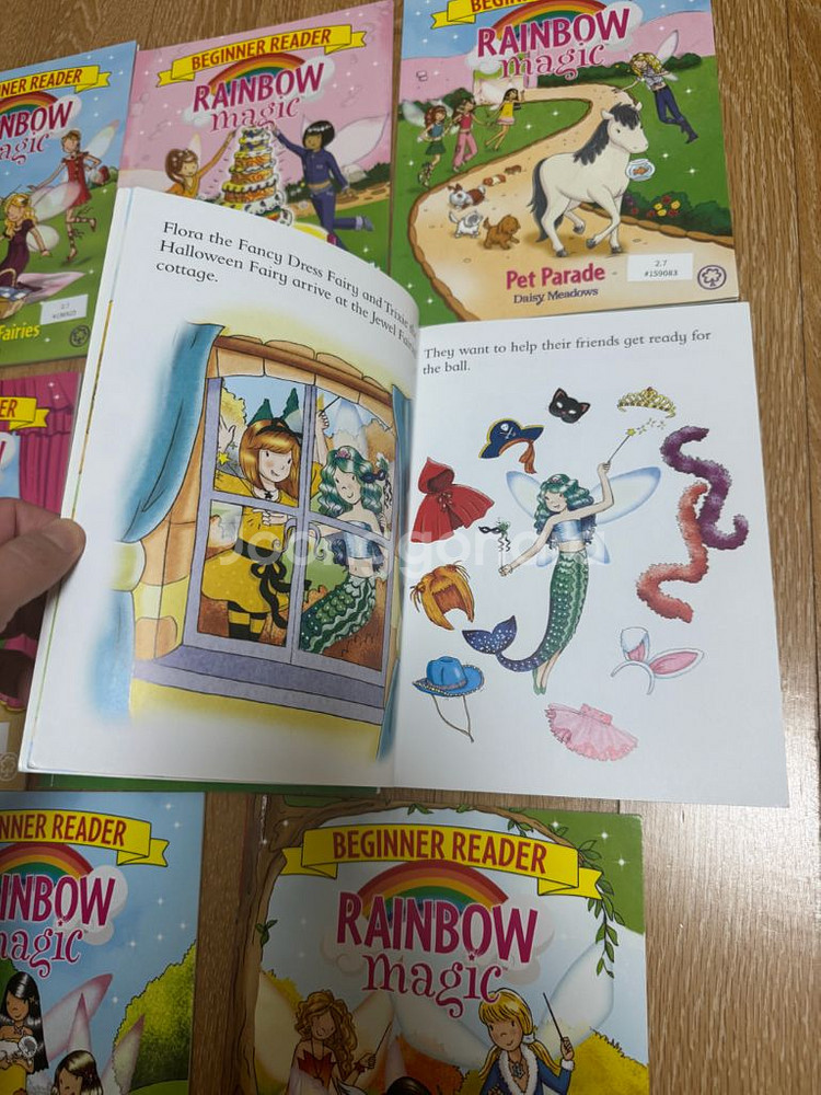 Rainbow Magic Beginner Reader--1