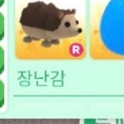 입양하세요 도치로 소2마리구해요