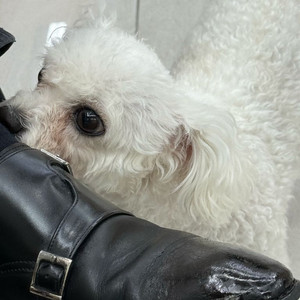 유튜브 9만명 수익창출 국내 채널 조작없음 최고 채널