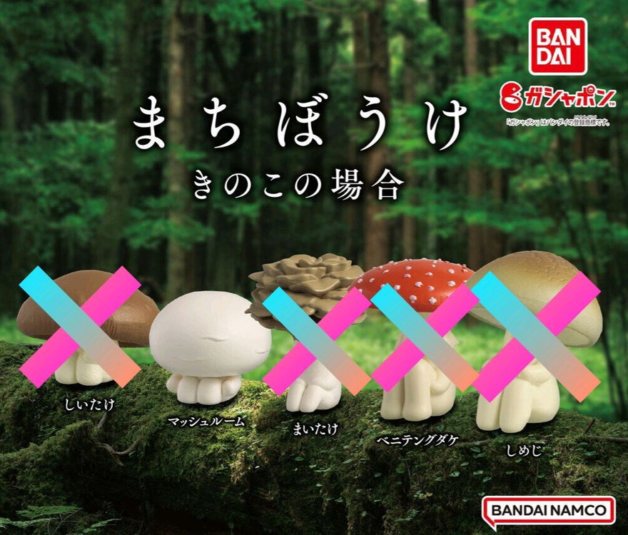 마치보우케 마치보케 언제오려나 양송이 버섯 가챠 이미지