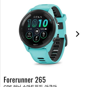 가민 포러너 265 아쿠아 새상품 46mm
