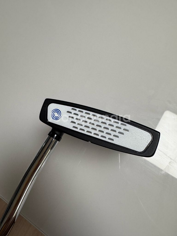 오딧세이 텐 퍼터 33인치--3