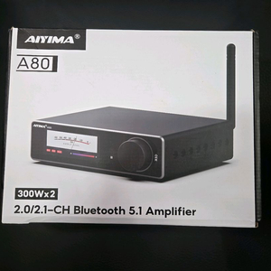AIYIMA A80 (48V 5A 포함)