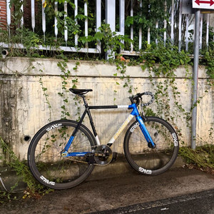 엔진11크릿디 블루스킨 급처