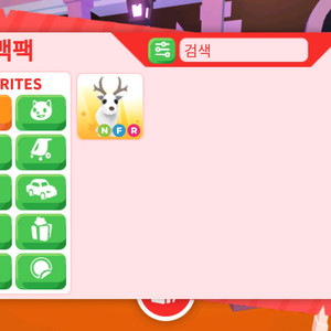입양 네온흰순