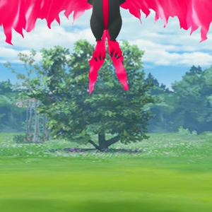 맘모꾸리 구해요