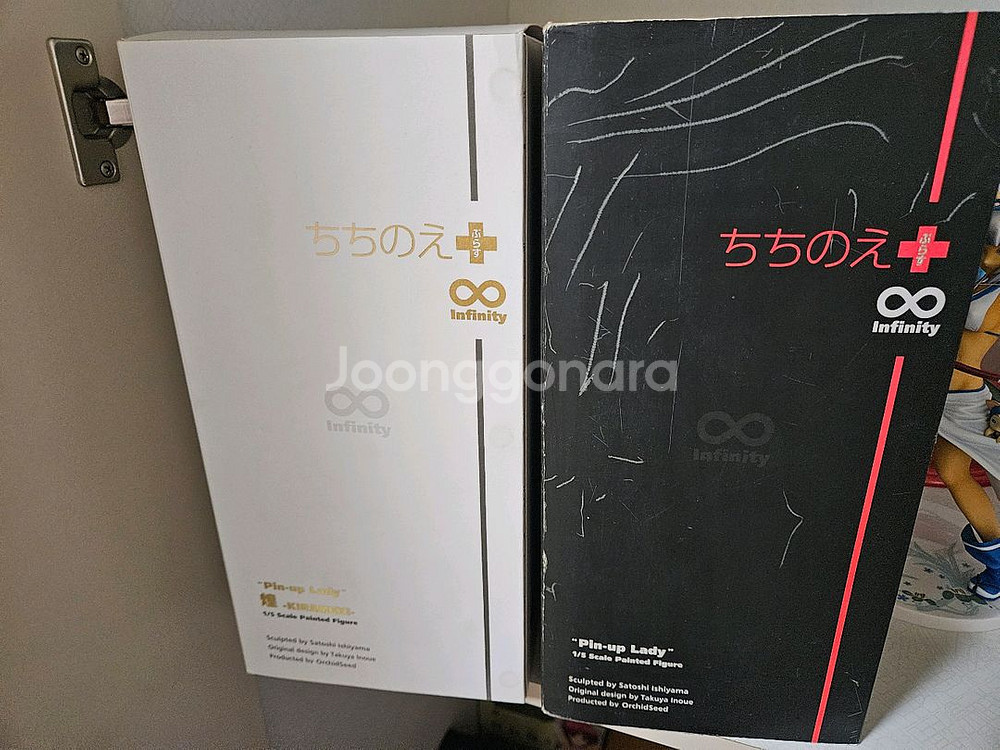 오키드시드 치치노에 핀업레이디 키라메키 2종--0