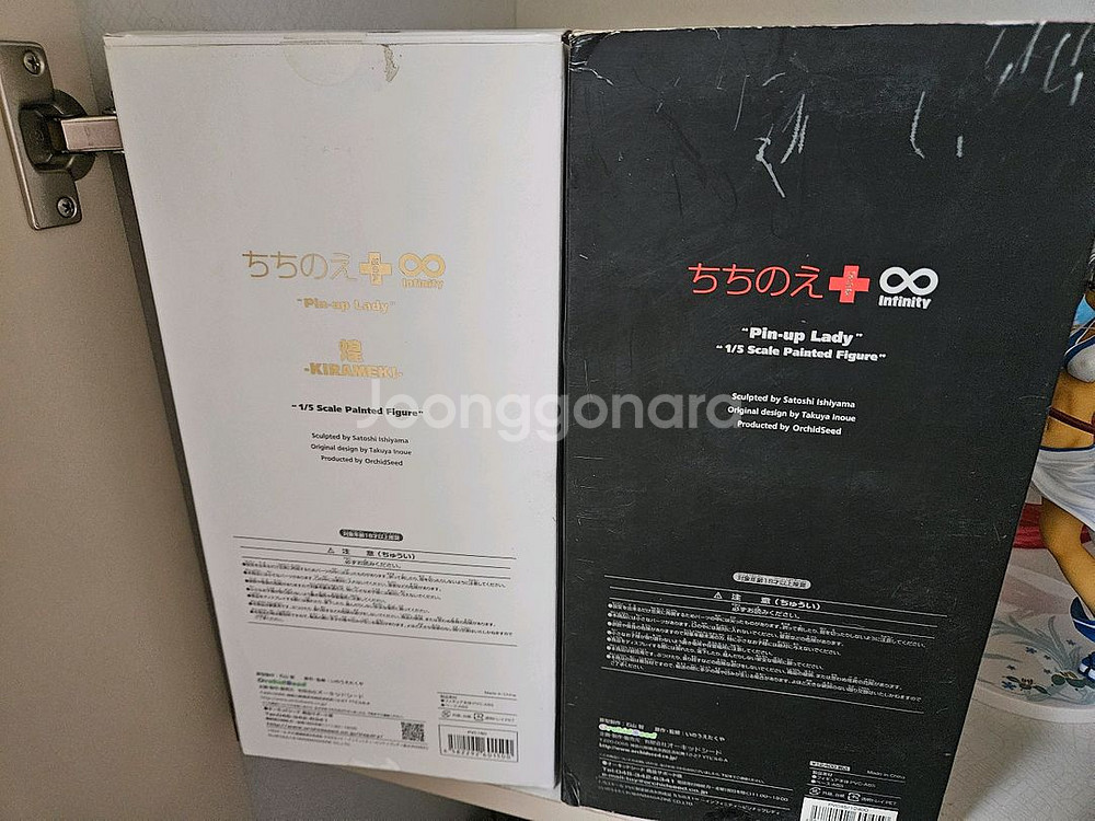 오키드시드 치치노에 핀업레이디 키라메키 2종--1