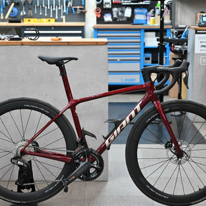 2024 tcr advanced(어드밴스) sl 반차