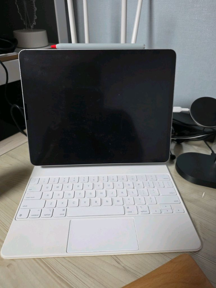 아이패드 프로 12.9 (6세대) 실버 셀롤러 512 이미지