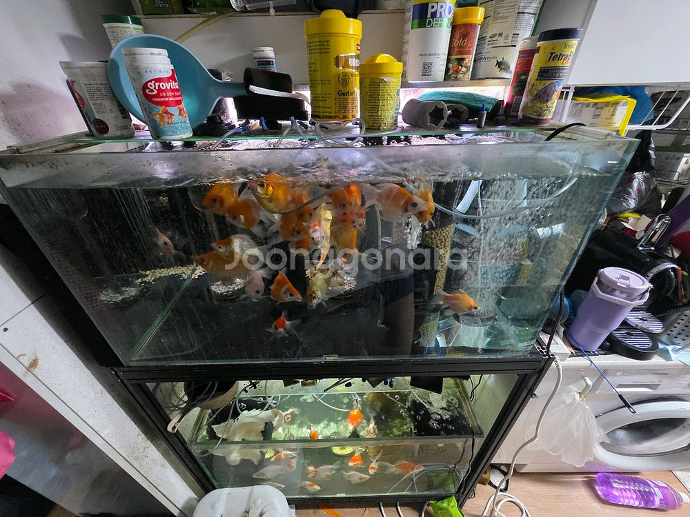 진빈3자상면 3자초광폭 프로파일 축양장--1